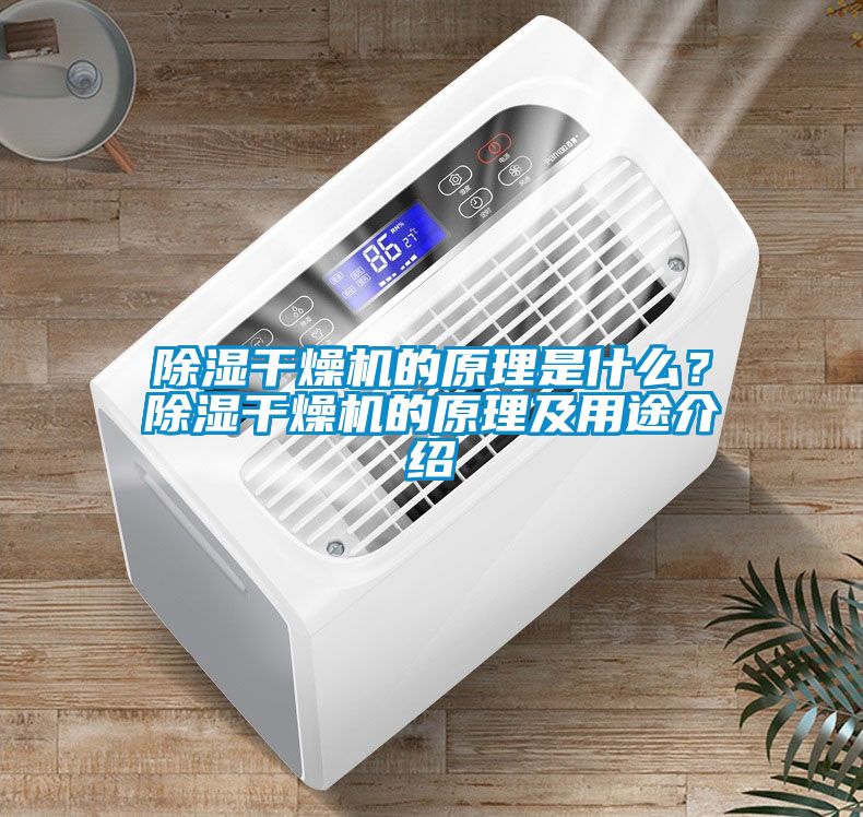 除濕干燥機(jī)的原理是什么？除濕干燥機(jī)的原理及用途介紹