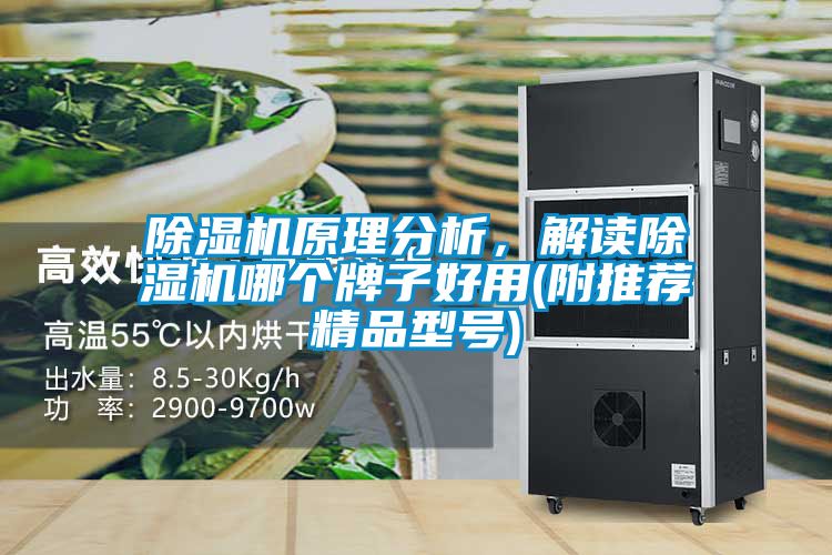 除濕機原理分析，解讀除濕機哪個牌子好用(附推薦精品型號)