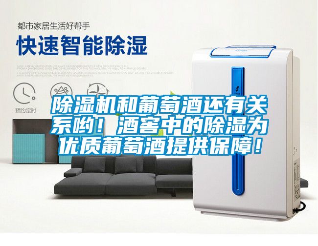 除濕機和葡萄酒還有關系喲！酒窖中的除濕為優(yōu)質葡萄酒提供保障！