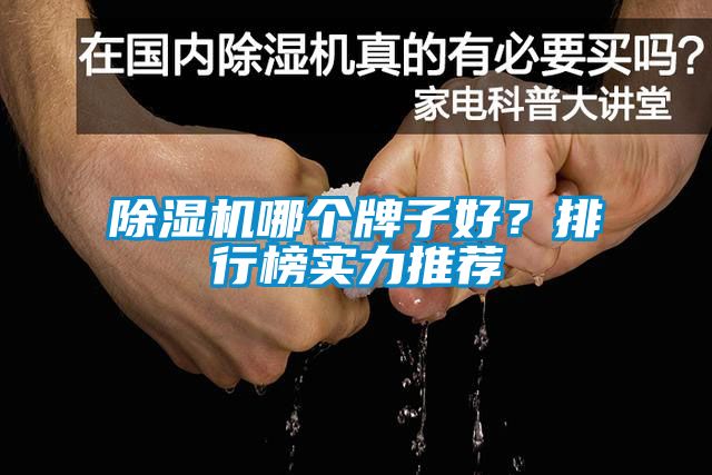 除濕機(jī)哪個(gè)牌子好？排行榜實(shí)力推薦