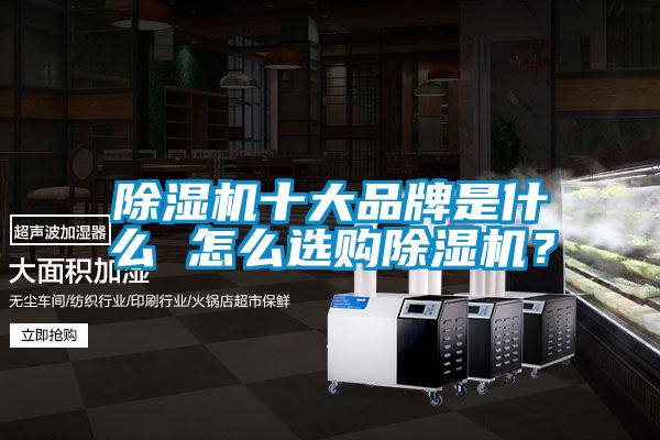 除濕機(jī)十大品牌是什么 怎么選購(gòu)除濕機(jī)？