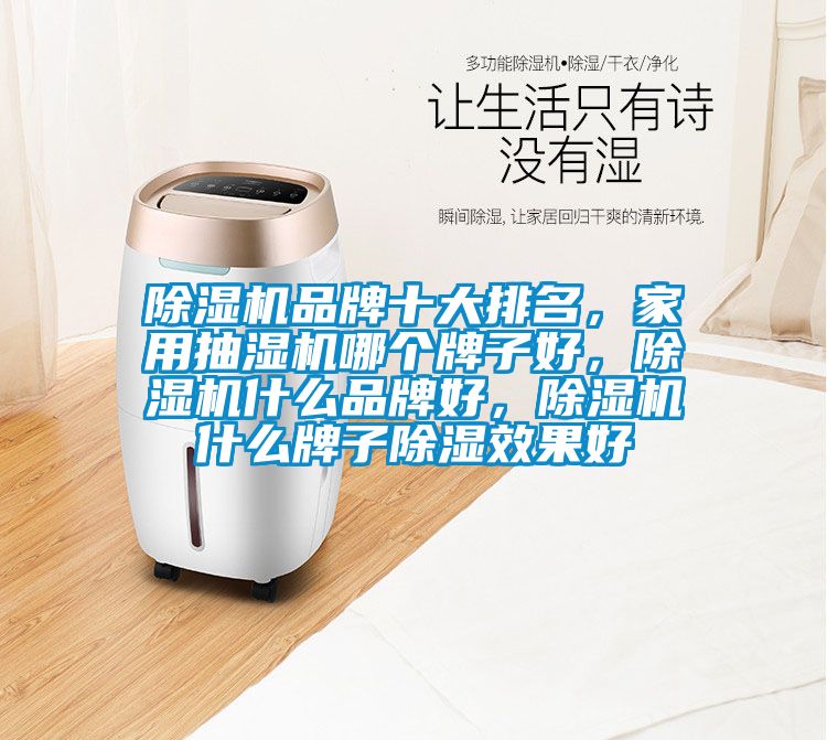 除濕機(jī)品牌十大排名，家用抽濕機(jī)哪個(gè)牌子好，除濕機(jī)什么品牌好，除濕機(jī)什么牌子除濕效果好