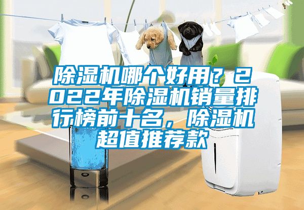 除濕機哪個好用？2022年除濕機銷量排行榜前十名，除濕機超值推薦款