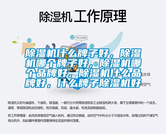除濕機什么牌子好，除濕機哪個牌子好，除濕機哪個品牌好，除濕機什么品牌好，什么牌子除濕機好