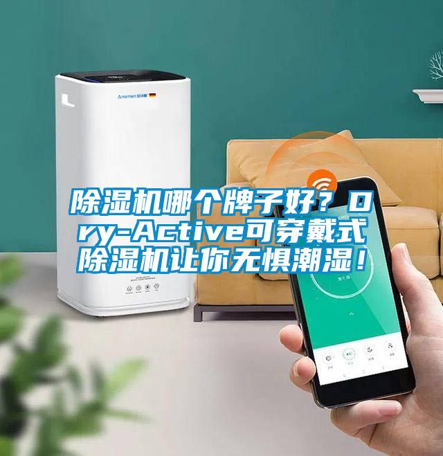 除濕機哪個牌子好？Dry-Active可穿戴式除濕機讓你無懼潮濕！