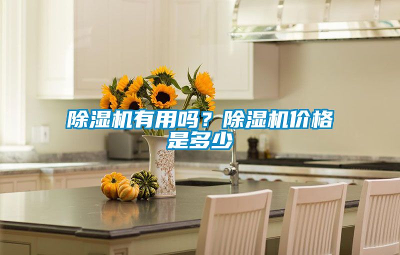 除濕機有用嗎？除濕機價格是多少