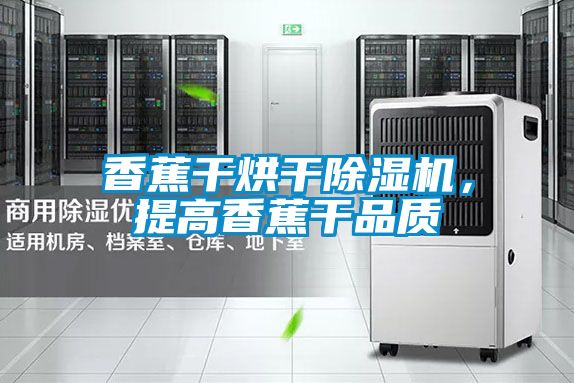香蕉干烘干除濕機(jī)，提高香蕉干品質(zhì)
