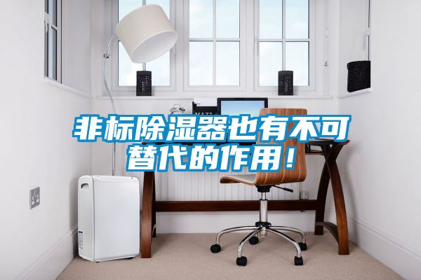 非標(biāo)除濕器也有不可替代的作用！
