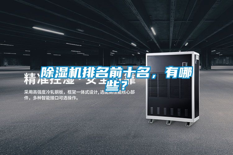 除濕機(jī)排名前十名，有哪些？