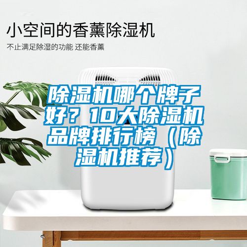 除濕機(jī)哪個(gè)牌子好？10大除濕機(jī)品牌排行榜（除濕機(jī)推薦）
