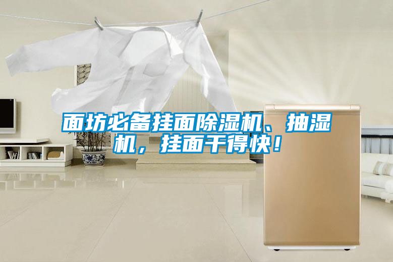 面坊必備掛面除濕機(jī)、抽濕機(jī)，掛面干得快！