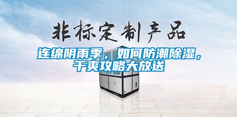 連綿陰雨季，如何防潮除濕，干爽攻略大放送