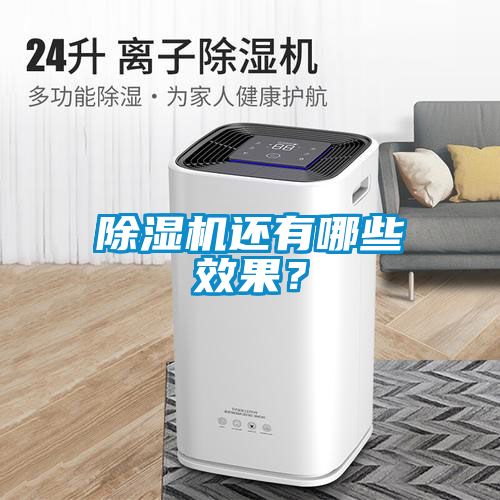 除濕機(jī)還有哪些效果？