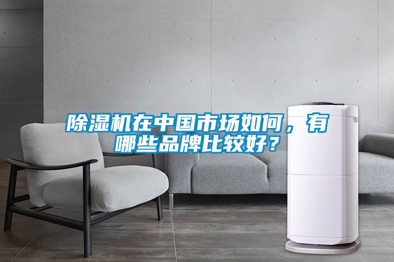 除濕機(jī)在中國市場如何，有哪些品牌比較好？