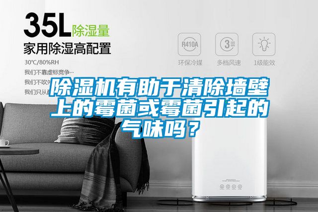 除濕機有助于清除墻壁上的霉菌或霉菌引起的氣味嗎？