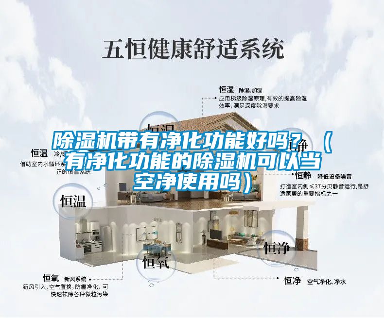 除濕機帶有凈化功能好嗎？（有凈化功能的除濕機可以當空凈使用嗎）