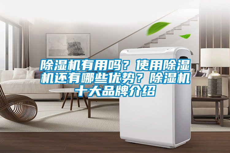 除濕機(jī)有用嗎？使用除濕機(jī)還有哪些優(yōu)勢(shì)？除濕機(jī)十大品牌介紹