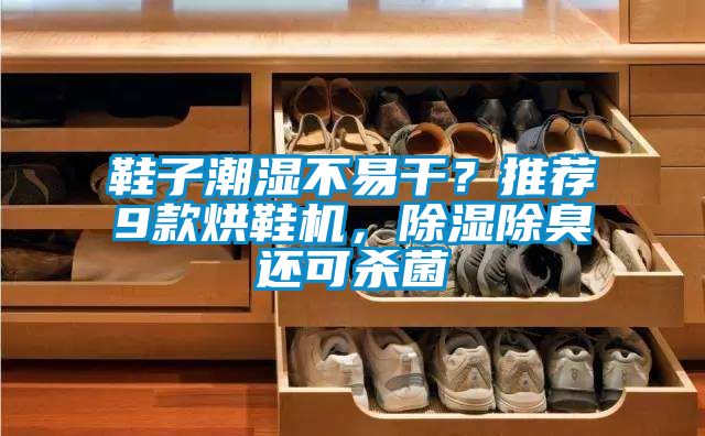 鞋子潮濕不易干？推薦9款烘鞋機(jī)，除濕除臭還可殺菌