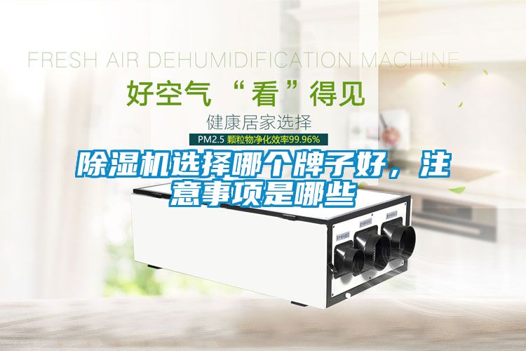 除濕機(jī)選擇哪個(gè)牌子好，注意事項(xiàng)是哪些
