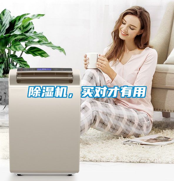 除濕機，買對才有用