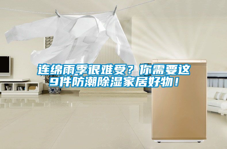 連綿雨季很難受？你需要這9件防潮除濕家居好物！