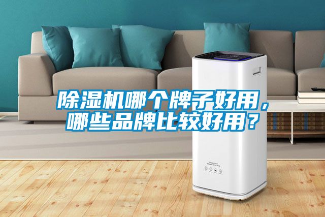 除濕機哪個牌子好用，哪些品牌比較好用？