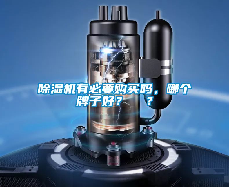 除濕機(jī)有必要購買嗎，哪個(gè)牌子好？  ？