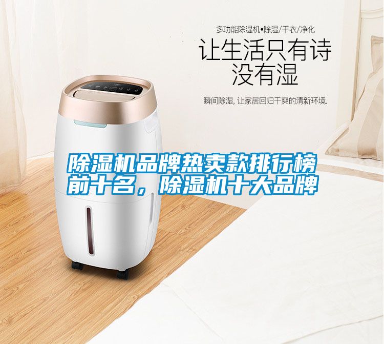 除濕機品牌熱賣款排行榜前十名，除濕機十大品牌