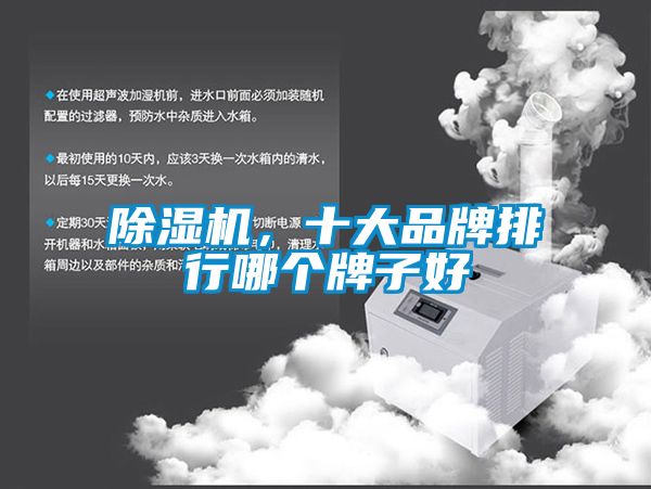 除濕機，十大品牌排行哪個牌子好