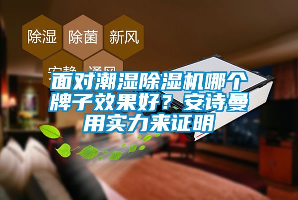面對(duì)潮濕除濕機(jī)哪個(gè)牌子效果好？安詩(shī)曼用實(shí)力來(lái)證明