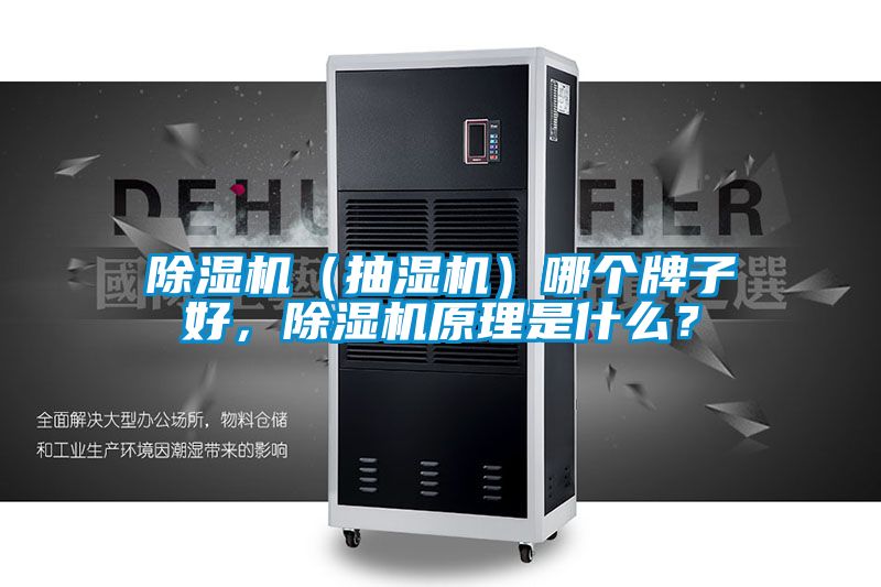 除濕機（抽濕機）哪個牌子好，除濕機原理是什么？