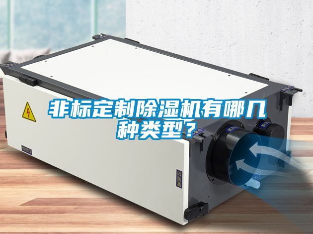 非標(biāo)定制除濕機(jī)有哪幾種類型？