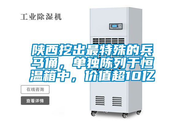 陜西挖出最特殊的兵馬俑，單獨(dú)陳列于恒溫箱中，價(jià)值超10億