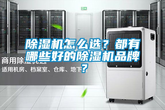 除濕機(jī)怎么選？都有哪些好的除濕機(jī)品牌？