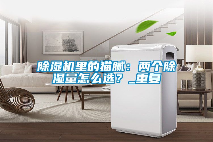 除濕機里的貓膩：兩個除濕量怎么選？_重復(fù)