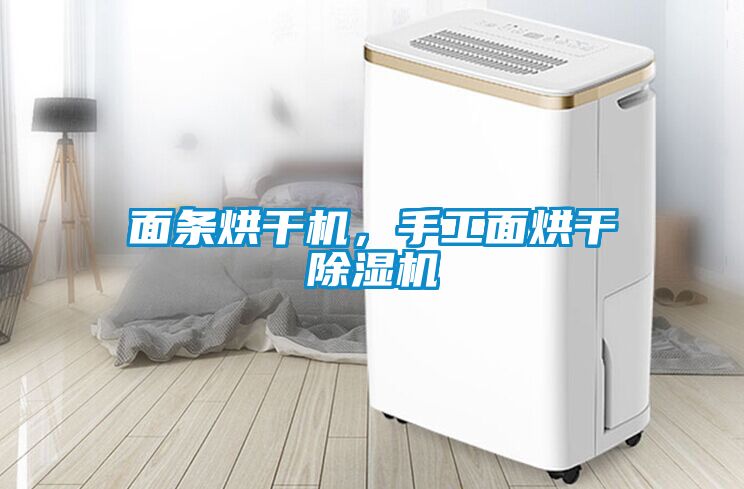 面條烘干機(jī)，手工面烘干除濕機(jī)
