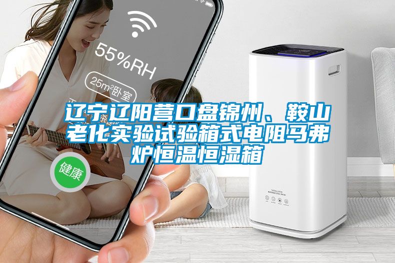 遼寧遼陽營口盤錦州、鞍山老化實(shí)驗(yàn)試驗(yàn)箱式電阻馬弗爐恒溫恒濕箱