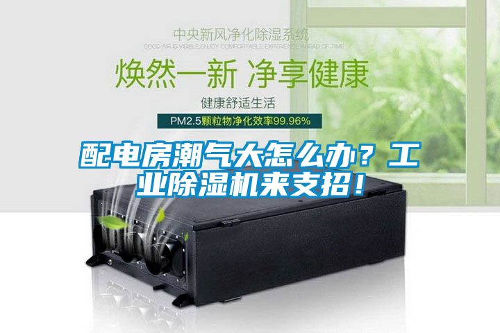 配電房潮氣大怎么辦？工業(yè)除濕機來支招！