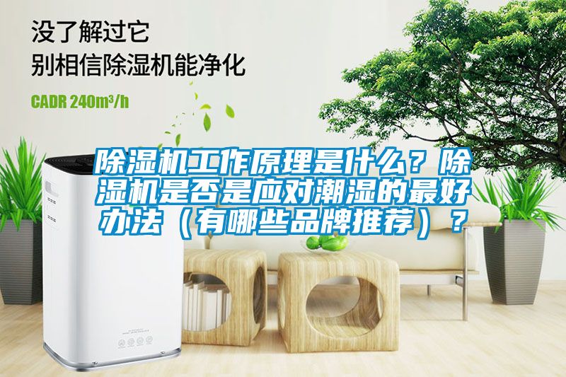 除濕機工作原理是什么？除濕機是否是應對潮濕的最好辦法（有哪些品牌推薦）？
