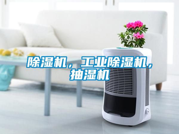 除濕機(jī)，工業(yè)除濕機(jī)，抽濕機(jī)