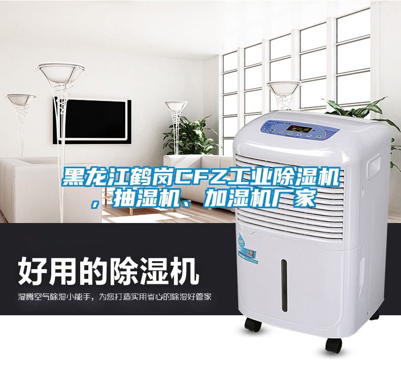 黑龍江鶴崗CFZ工業(yè)除濕機(jī)，抽濕機(jī)、加濕機(jī)廠家