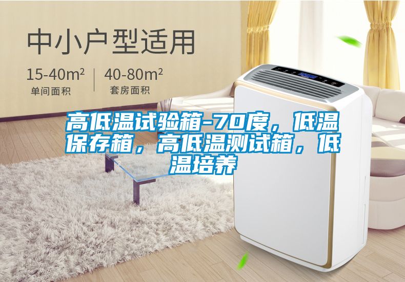 高低溫試驗箱-70度，低溫保存箱，高低溫測試箱，低溫培養(yǎng)