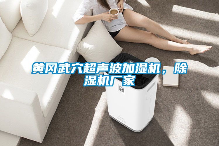 黃岡武穴超聲波加濕機，除濕機廠家