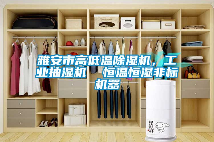 雅安市高低溫除濕機(jī)，工業(yè)抽濕機(jī)  恒溫恒濕非標(biāo)機(jī)器