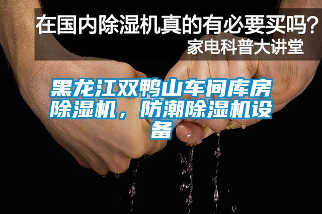 黑龍江雙鴨山車間庫房除濕機(jī)，防潮除濕機(jī)設(shè)備