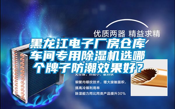 黑龍江電子廠房倉庫車間專用除濕機(jī)選哪個(gè)牌子防潮效果好？