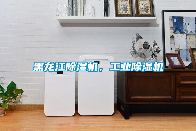 黑龍江除濕機，工業(yè)除濕機