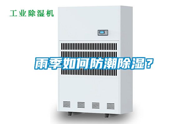 雨季如何防潮除濕？