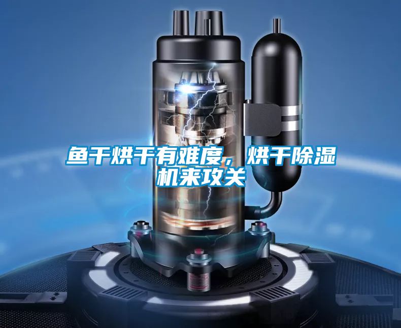 魚干烘干有難度，烘干除濕機來攻關(guān)
