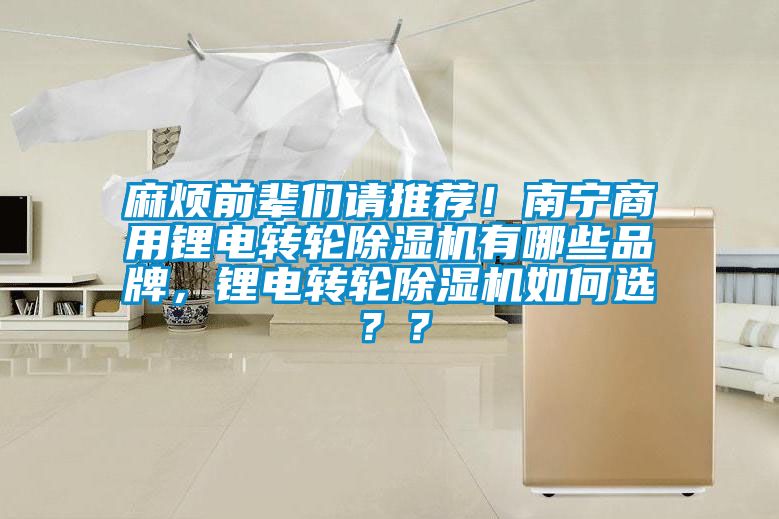 麻煩前輩們請(qǐng)推薦！南寧商用鋰電轉(zhuǎn)輪除濕機(jī)有哪些品牌，鋰電轉(zhuǎn)輪除濕機(jī)如何選？？